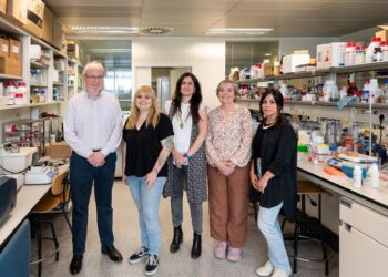 "Nanokillers" against bacteria and other pathogens