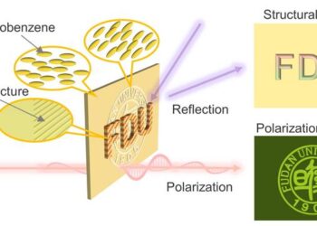 New anti-counterfeit technique packs two light-reactive images into one material