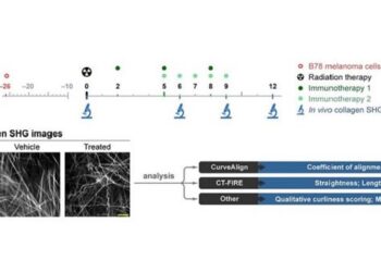 New biomarkers of response in melanoma immunotherapy