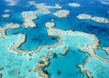 Great Barrier Reef