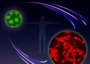 One essential step for a germ cell, one giant leap