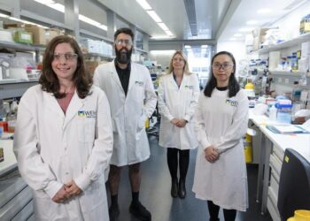 One-two punch treatment delivers blood cancer knockout