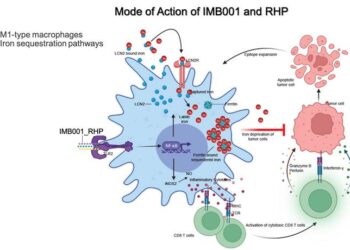 Mode of Action of IMB001 and RHP