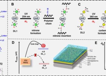 A schematic depiction showcasing the Photophore-Anchored Molecular Switch for High-Performance Nonvolatile Organic Memory Transistor