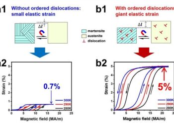 Researchers Achieve 5% Magneto-Superelastic Strain in Ni34Co8Cu8Mn36Ga14 Single Crystal