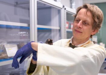 The researcher