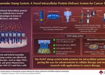 PEDOT/Au HyNT stamp system for intracellular protein delivery