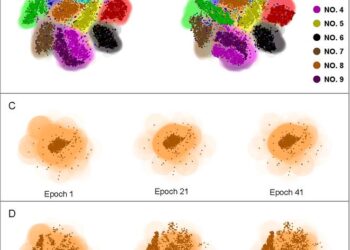 Scientists uncover quantum-inspired vulnerabilities in neural networks: the role of