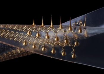 Sea slugs inspire highly stretchable biomedical sensor