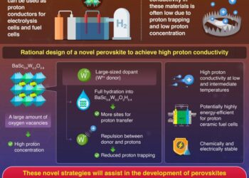 Innovations in Perovskite Design for Proton Conductors