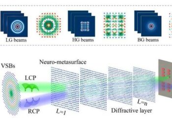 Multilayer spin-multiplexed metasurfaces act as neurons in a multiplexed diffractive neural network (MDNN) for detecting and sorting vector structured beams.