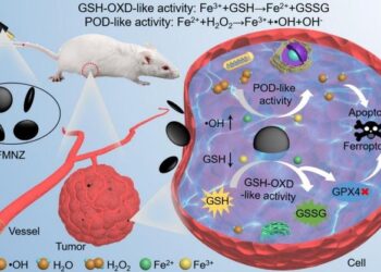 Structural Engineering Unlocks Potent Tumor Treatment with Dual-Function Magnetite Nanozymes