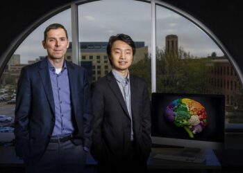 Study: Certain nutrients may slow brain aging