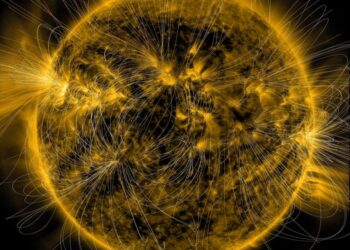 Sun's magnetic field
