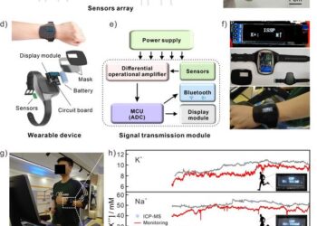 Sweat Sensor Wristwatch Offers Real Time Monitoring of Body Chemistry