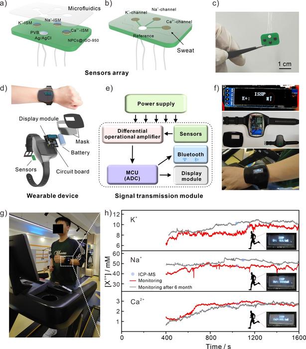 Sweat Sensor Wristwatch Offers Real Time Monitoring of Body Chemistry