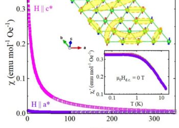 Ising anisotropy and possible spin liquid state in PrMgAl11O19.