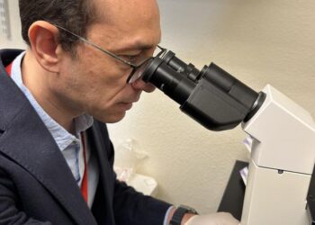 TTUHSC’s Ahmed investigating cardiac cell regeneration