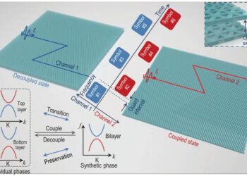 Figure 1. Schematic view of the flexible multiplexing chip.