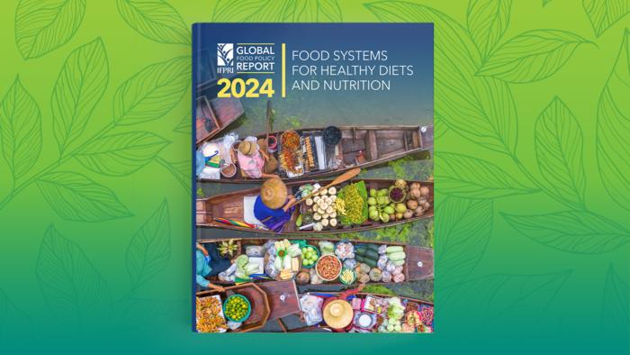 Global Food Policy Report 2024: Food Systems for Healthy Diets and Nutrition
