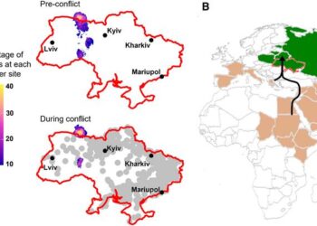 Distribution, migration, and stopover use in Ukraine for Greater Spotted Eagles