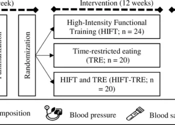Unlocking the power of synergy: High-intensity functional training and early time-restricted eating for transformative changes in body composition and cardiometabolic health in inactive women with obesity