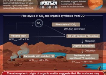 Decoding Martian Organic Matter Origins: Insights from Isotopic Analysis