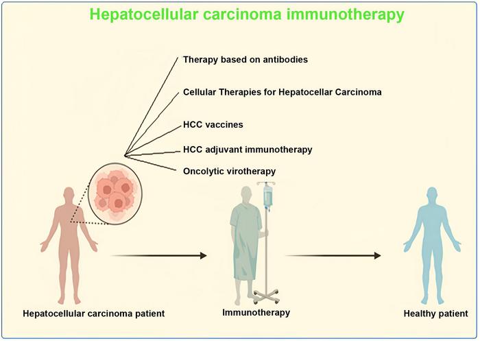 Treatment Options for Hepatocellular Carcinoma Using Immunotherapy