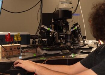 USF researcher using VR to map the brain, understand and