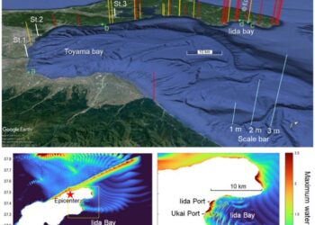 Understanding the Mechanisms for Local Amplification of 2024 Tsunamis in Iida Bay