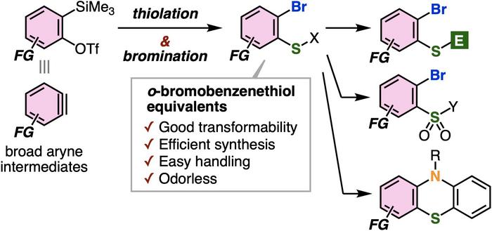 Synthesizing o-bromobenzenethiols from aryne intermediates