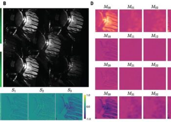 Mueller matrix imaging