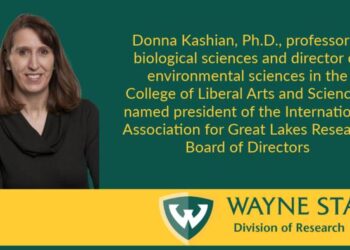 Wayne State faculty member named president of the International Association