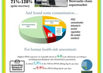 Summary of Key Findings