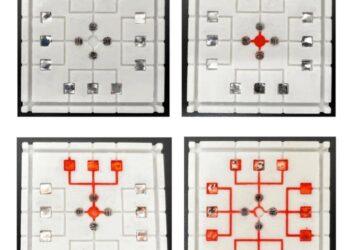 Four distinct regions, capable of rapidly testing for the presence of multiple pathogens simultaneously