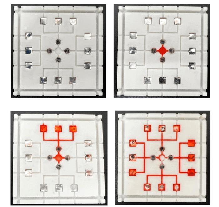 Four distinct regions, capable of rapidly testing for the presence of multiple pathogens simultaneously