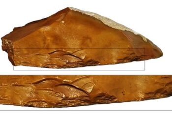 A close look at a Quina-like scraper from Jaljulia