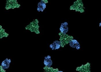 Neutralizing antibody against measles