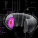 Tokamak