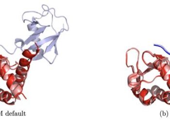Comparing the AFM default MSA Transformer pairing strategy with DiffPALM for a protein structure.
