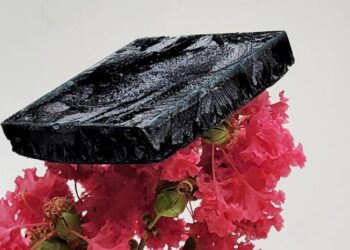 Machine intelligence accelerated discovery of strain-insensitive conductive aerogels for wearable thermal management.