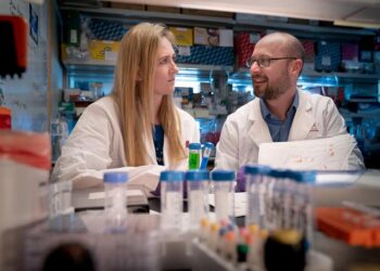 See how St. Jude researchers use epigenetic clock, DNA methylation and mouse model to demonstrate that T cell proliferation