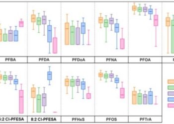 Alarming study unveils how "forever chemicals" transfer from mothers to newborns