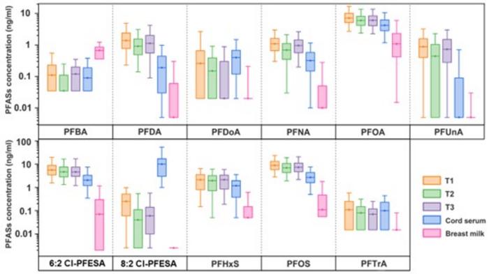 Box-plots of concentrations of PFAS with> 50% detection in maternal serum across trimesters (T1-T3), cord serum or breast milk (ng/mL).”></p>
<p class=