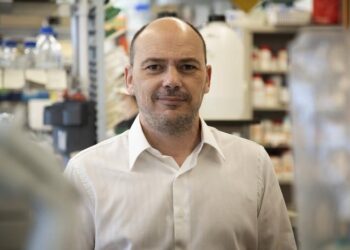 Luís Graça, investigador principal no iMM e líder da equipa de investigação.