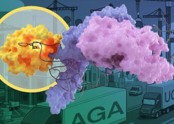 An enzyme with a smart friend