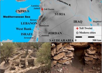 Agropastoral and dietary practices of the northern Levant facing Late Holocene climate and environmental change: Isotopic analysis of plants, animals and humans from Bronze to Iron Age Tell Tweini