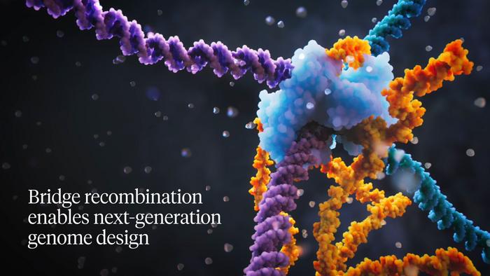 The Bridge Recombinase Mechanism - Next Generation Genome Design