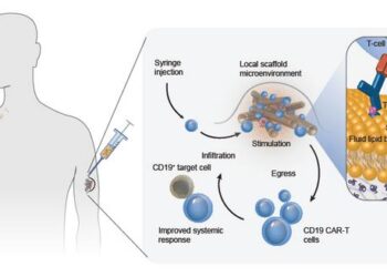 T-cell enhancing scaffold illustration