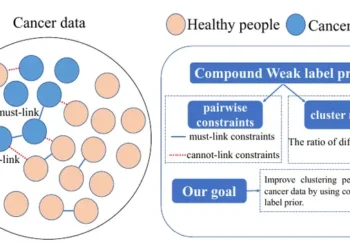 Compound weak label prior plays an essential role in increasing clustering confidence